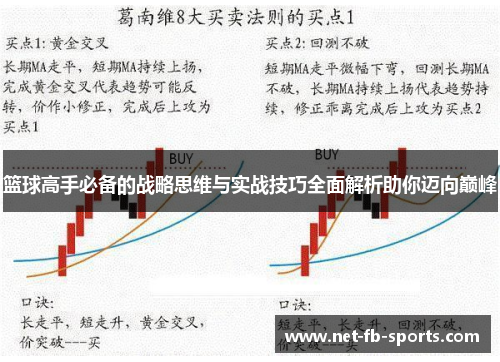 篮球高手必备的战略思维与实战技巧全面解析助你迈向巅峰