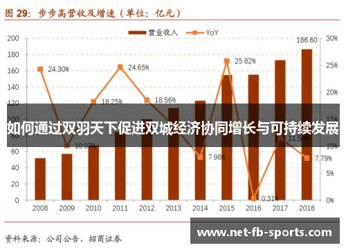 如何通过双羽天下促进双城经济协同增长与可持续发展